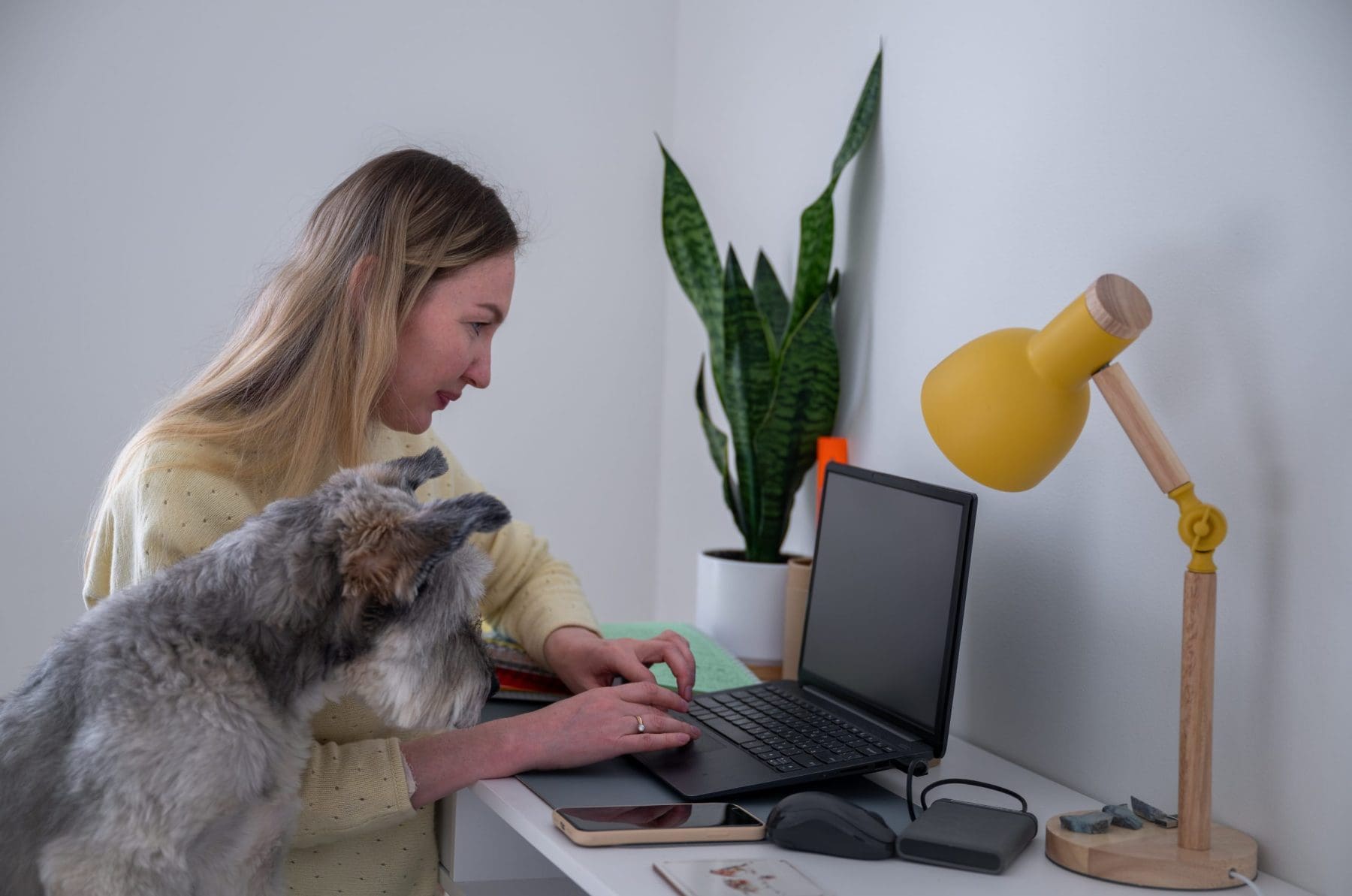 Woman works on laptop with dog on lap in home office, concept of remote work.